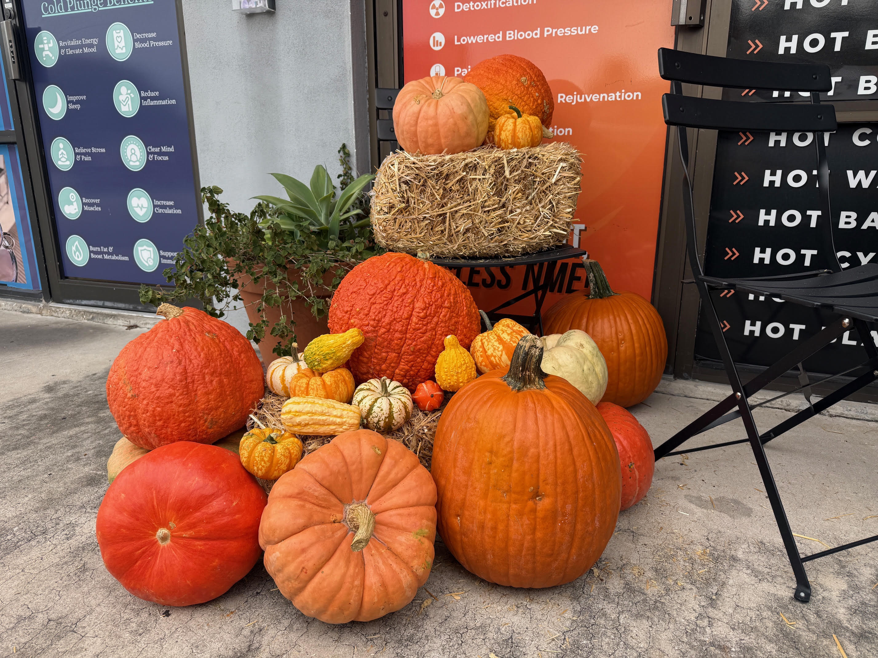 Commercial partners seated with coffee alongside the finished fall install of wooden barrel, hay bales, and mixed pumpkins