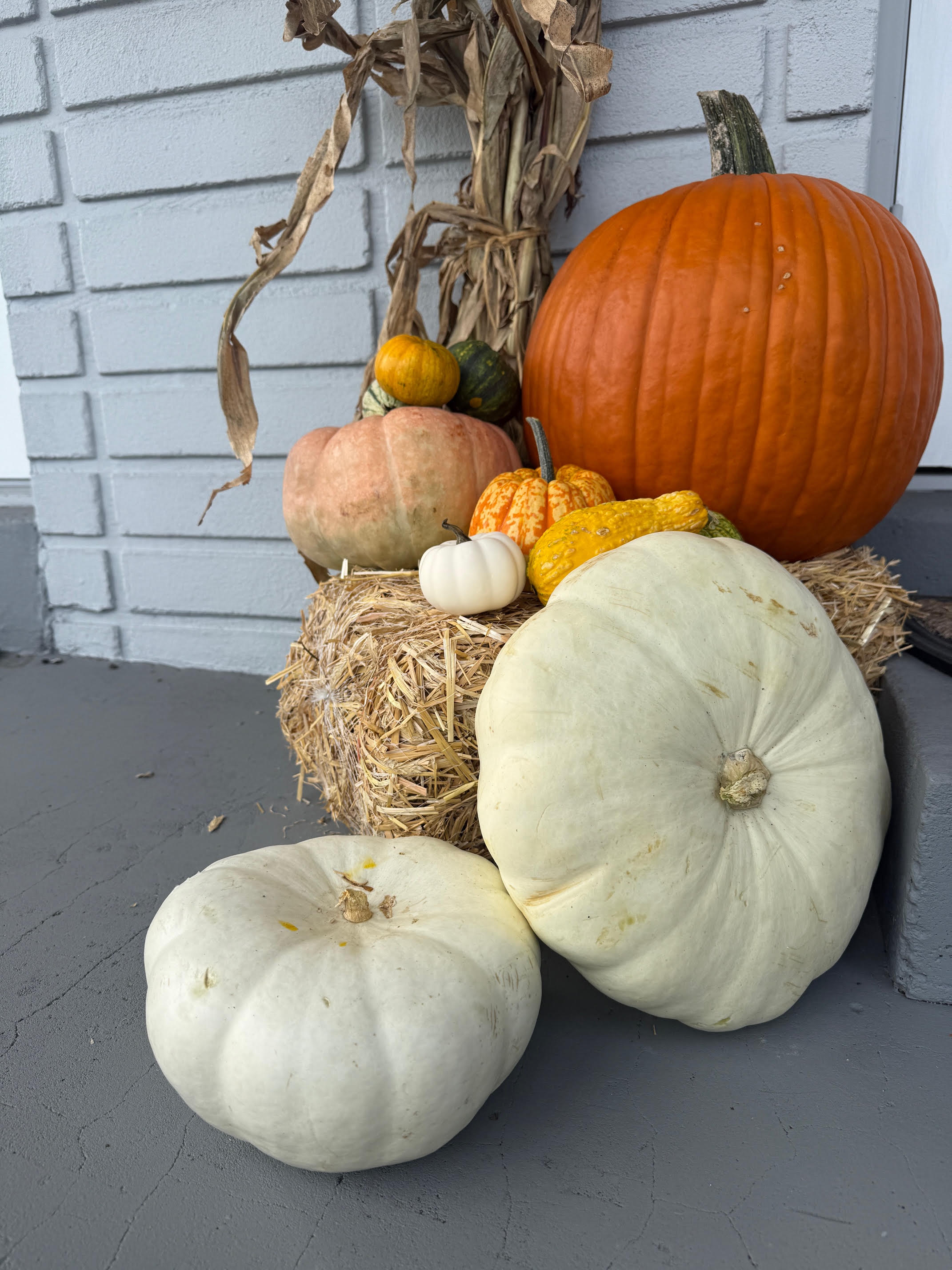 Detail shot of pumpkins clustered on a hay bale with cornstalks in the background